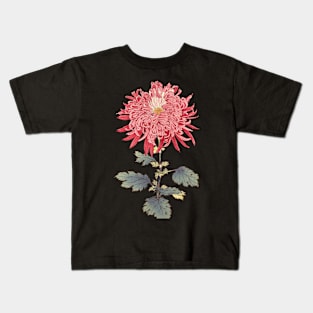 Pink Chrysanthemum 3 - Hasegawa - Traditional Japanese style - Botanical Illustration Kids T-Shirt